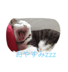 Empress cats 2（個別スタンプ：5）