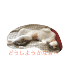 Empress cats 2（個別スタンプ：6）