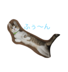 Empress cats 2（個別スタンプ：7）