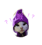 Empress cats 2（個別スタンプ：8）
