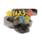 ジャンツム2（個別スタンプ：3）