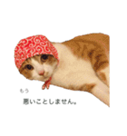 ねこのかぶりもの（個別スタンプ：3）