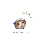 ねこのかぶりもの（個別スタンプ：5）