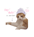 ねこのかぶりもの（個別スタンプ：8）