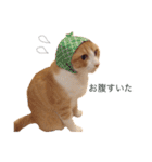 ねこのかぶりもの（個別スタンプ：10）