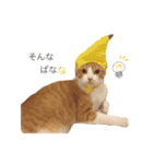 ねこのかぶりもの（個別スタンプ：14）