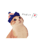 ねこのかぶりもの（個別スタンプ：15）