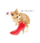 ねこのかぶりもの（個別スタンプ：19）