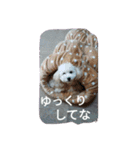 舞鶴弁クリ2（個別スタンプ：3）