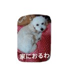 舞鶴弁クリ2（個別スタンプ：4）