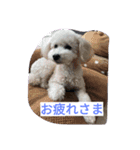 舞鶴弁クリ2（個別スタンプ：6）