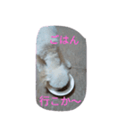 舞鶴弁クリ2（個別スタンプ：8）