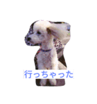 舞鶴弁クリ2（個別スタンプ：9）