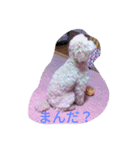 舞鶴弁クリ2（個別スタンプ：11）