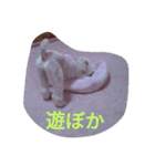 舞鶴弁クリ2（個別スタンプ：12）