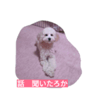 舞鶴弁クリ2（個別スタンプ：14）