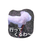 舞鶴弁クリ2（個別スタンプ：16）