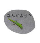 アニマルズです（個別スタンプ：1）