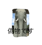 アニマルズです（個別スタンプ：7）