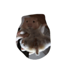 鶏の足（個別スタンプ：2）