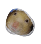鶏の足（個別スタンプ：4）