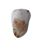 鶏の足（個別スタンプ：5）