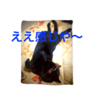 まいねこすたんプ（個別スタンプ：4）