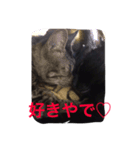 まいねこすたんプ（個別スタンプ：5）