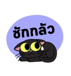 Cat Dum（個別スタンプ：4）