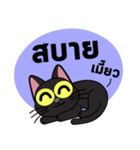 Cat Dum（個別スタンプ：6）