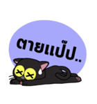 Cat Dum（個別スタンプ：16）