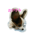 ナミ（個別スタンプ：2）