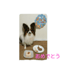 ナミ（個別スタンプ：4）