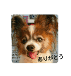 ナミ（個別スタンプ：5）