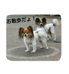 ナミ（個別スタンプ：6）