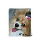 ナミ（個別スタンプ：9）