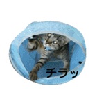 ナミ（個別スタンプ：10）