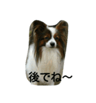 ナミ（個別スタンプ：16）