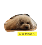 ミルのまいにち。（個別スタンプ：3）