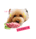 ミルのまいにち。（個別スタンプ：5）