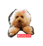 ミルのまいにち。（個別スタンプ：6）