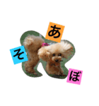 ミルのまいにち。（個別スタンプ：8）