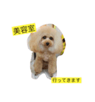 ミルのまいにち。（個別スタンプ：12）