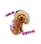 ミルのまいにち。（個別スタンプ：13）