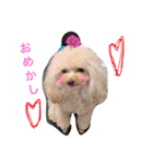 ミルのまいにち。（個別スタンプ：16）
