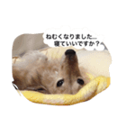 さくらの御挨拶（個別スタンプ：2）