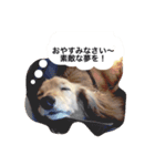 さくらの御挨拶（個別スタンプ：3）