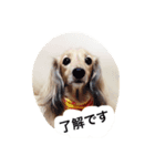 さくらの御挨拶（個別スタンプ：4）