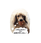 さくらの御挨拶（個別スタンプ：6）