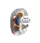 さくらの御挨拶（個別スタンプ：8）